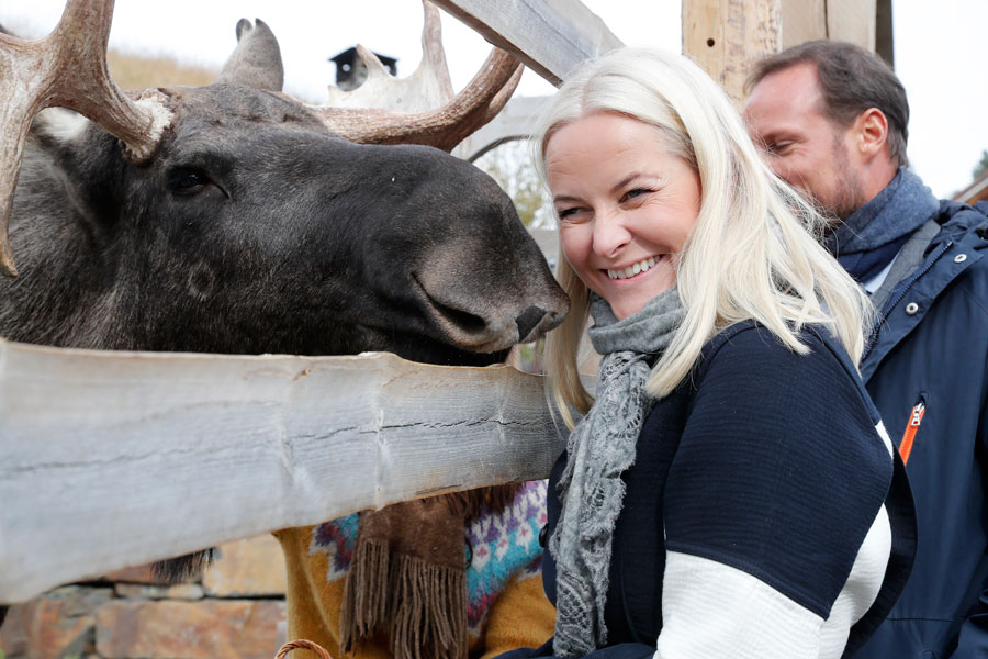 Mette-Marits nya liv med tuffa lungsjukdomen