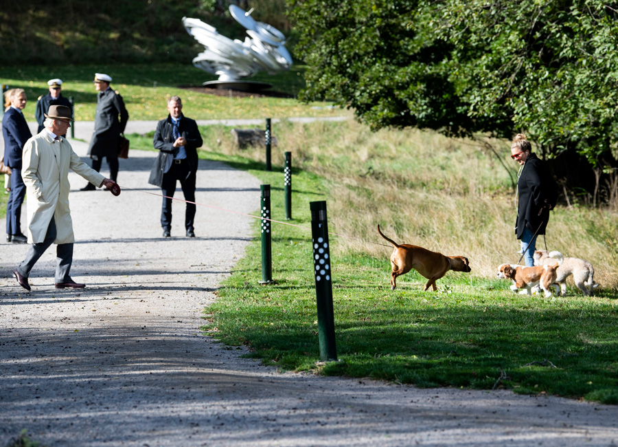 Kungafamiljen myste på underbar höstpromenad