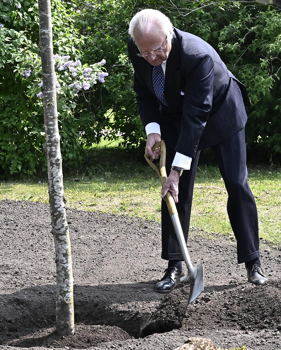 Kungen och Silvias spännande länsresa till Östergötland