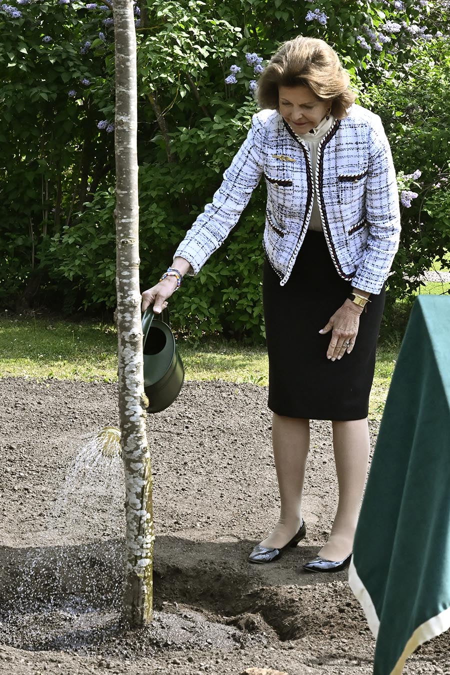 Kungen och Silvias spännande länsresa till Östergötland