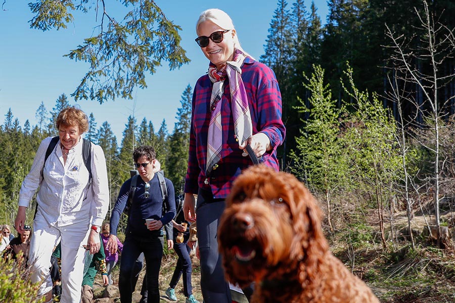 Nya bilderna på Mette-Marit – alla noterar samma sak