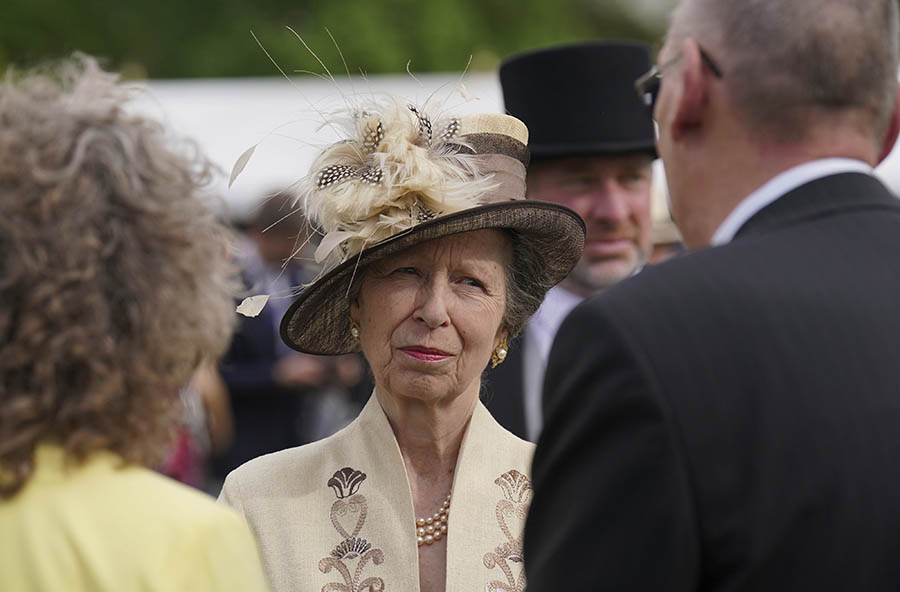 Prins William och Kates trevliga gardenparty på slottet