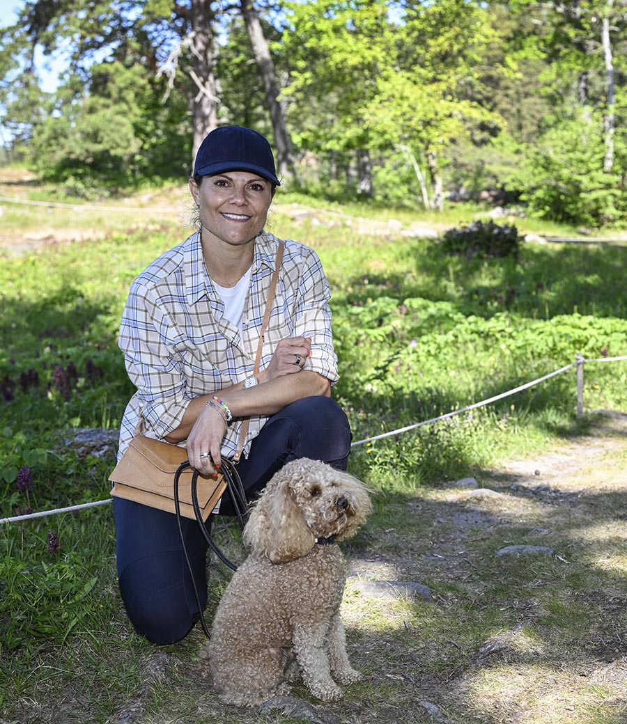 Victorias härliga sommardag med lurviga älsklingen i naturen