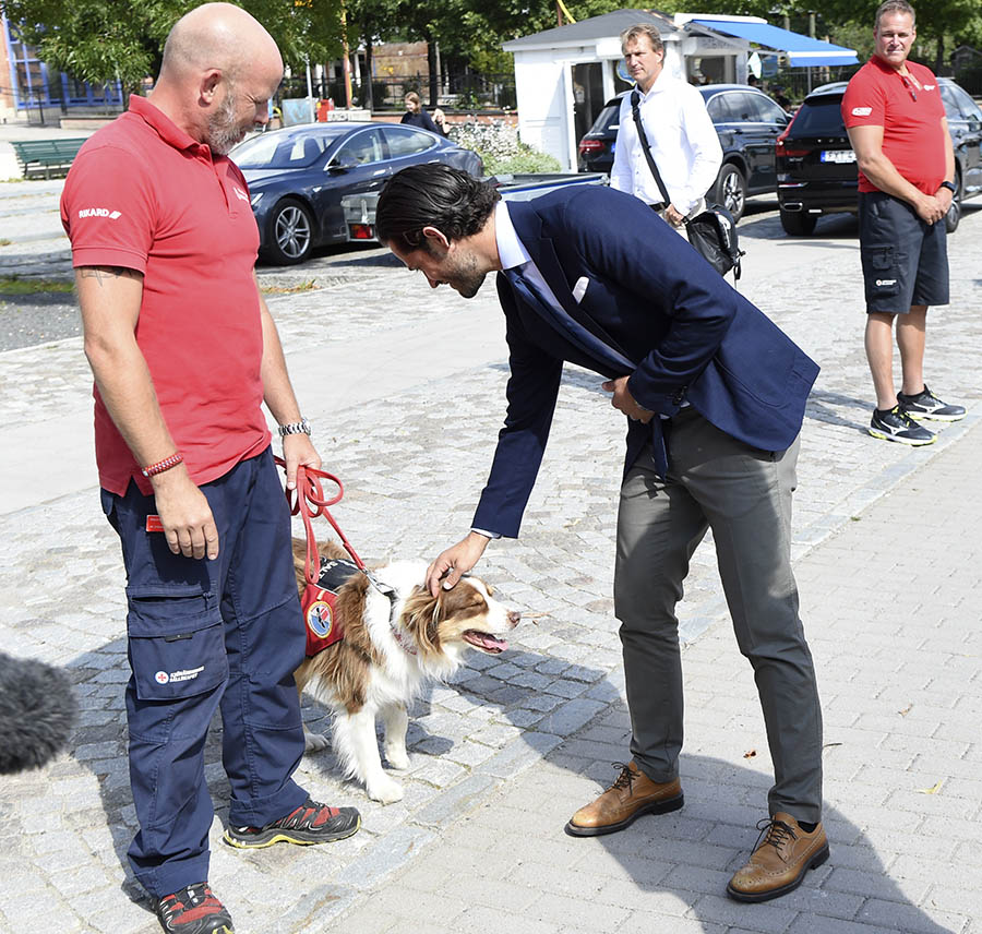 Carl Philip och Sofia indragna i märkligt hunddrama