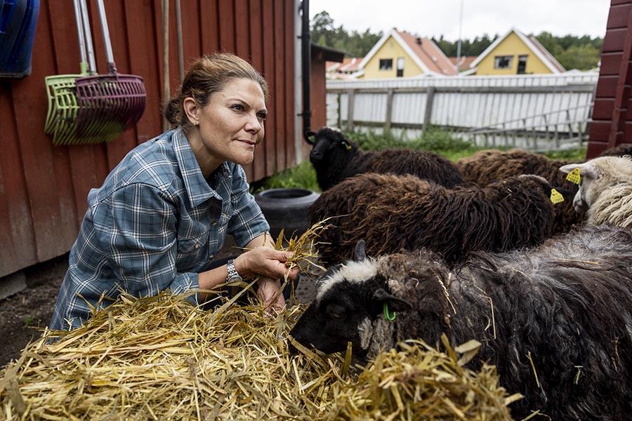 Bild-Extra: Här får Victoria mysa med djuren på gården