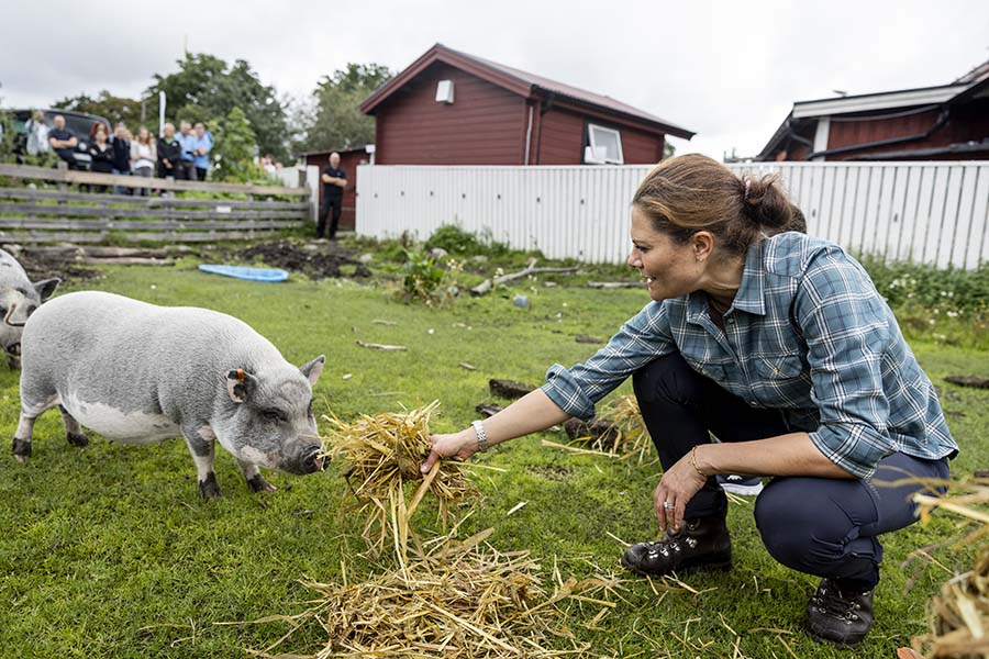 Bild-Extra: Här får Victoria mysa med djuren på gården