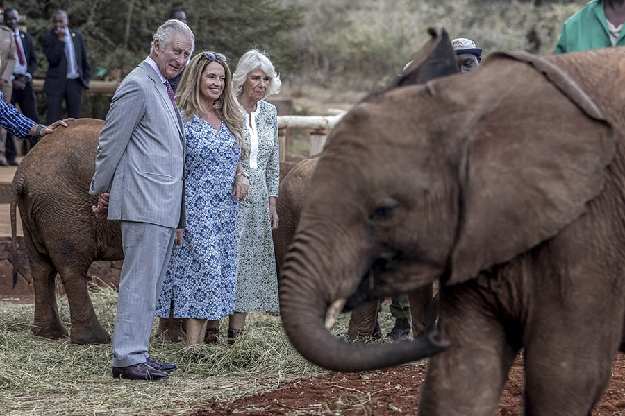 Kung Charles och Camillas spännande statsbesök i Afrika