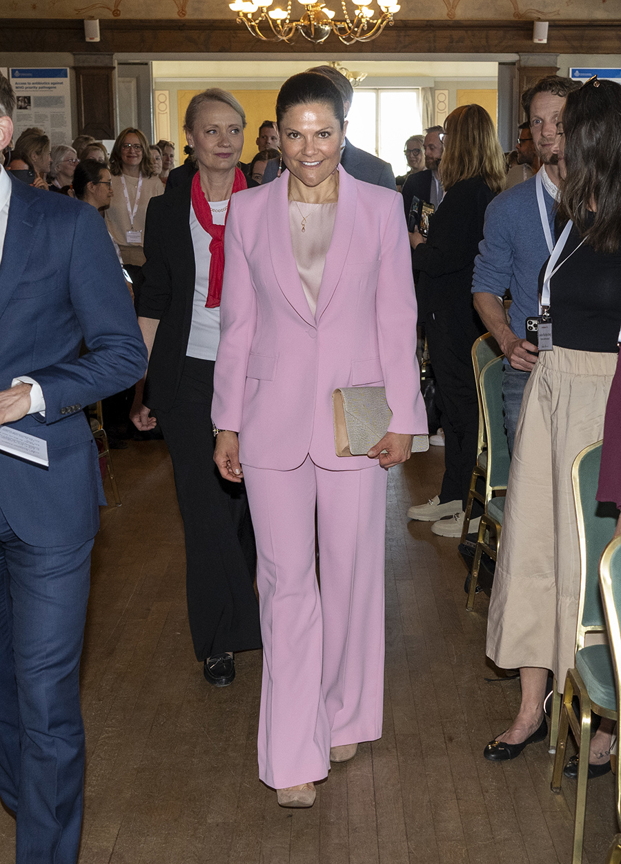 sanslösa priset på victorias rosa succékostym överraskar 7 Sanslösa priset på Victorias rosa succékostym överraskar