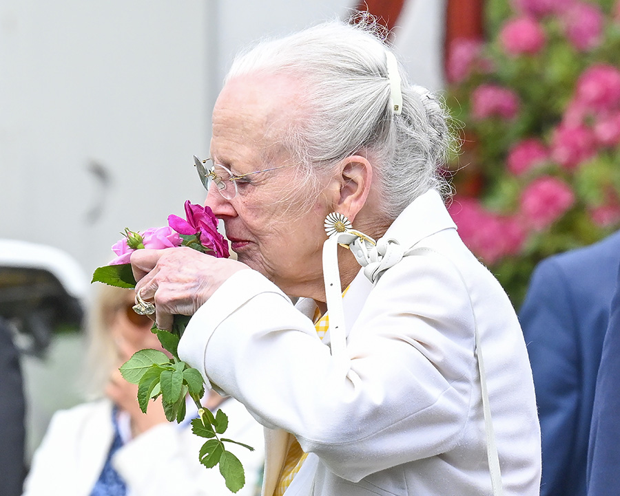 drottning margrethes sorgliga beslut – tvingas ge upp arvet 3 Drottning Margrethes sorgliga beslut – tvingas ge upp arvet