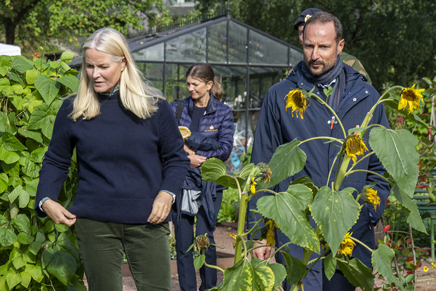 Mette-Marit och Haakon bryter upp – hovet bekräftar beslutet